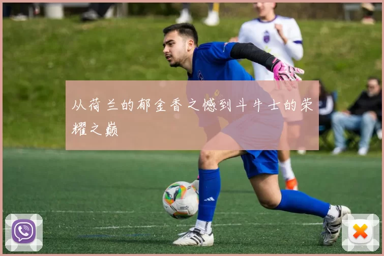 从荷兰的郁金香之憾到斗牛士的荣耀之巅