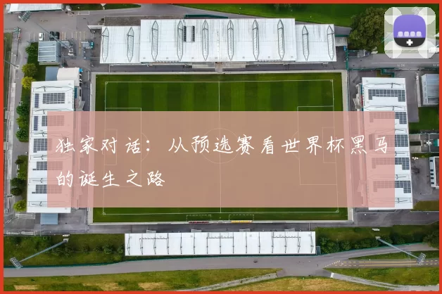 独家对话：从预选赛看世界杯黑马的诞生之路