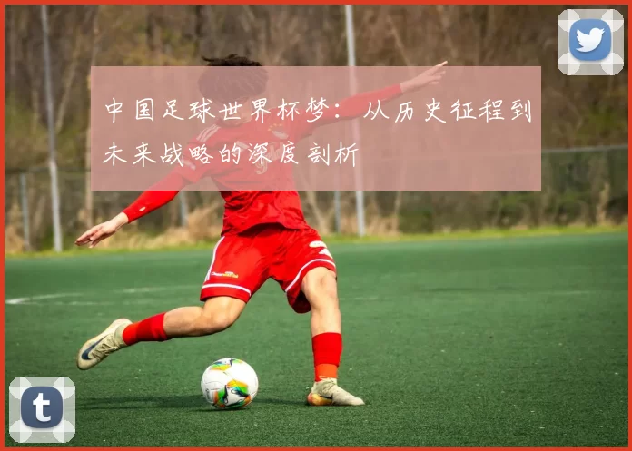 中国足球世界杯梦:从历史征程到未来战略的深度剖析