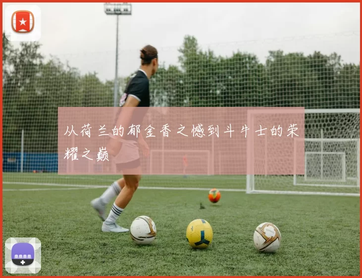 从荷兰的郁金香之憾到斗牛士的荣耀之巅