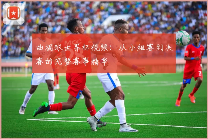 曲棍球世界杯视频:从小组赛到决赛的完整赛事精华