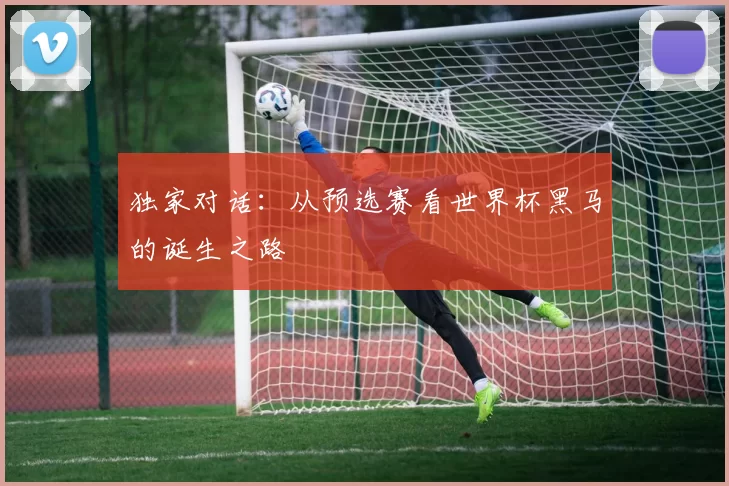 独家对话:从预选赛看世界杯黑马的诞生之路