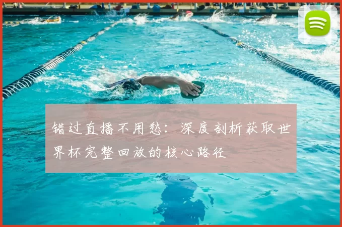 错过直播不用愁:深度剖析获取世界杯完整回放的核心路径
