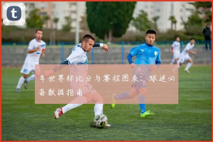 年世界杯比分与赛程图表:球迷必备数据指南