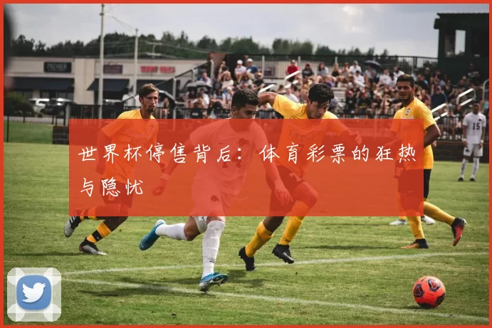 世界杯停售背后:体育彩票的狂热与隐忧
