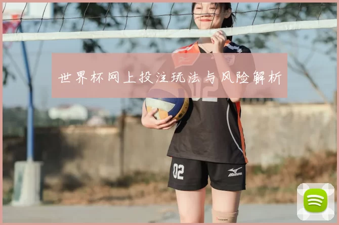 世界杯网上投注玩法与风险解析