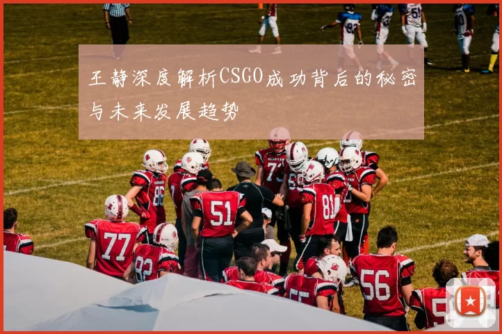 王静深度解析CSGO成功背后的秘密与未来发展趋势