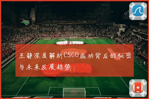 王静深度解析CSGO成功背后的秘密与未来发展趋势